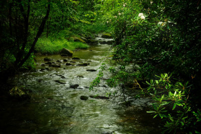 Parsons Branch