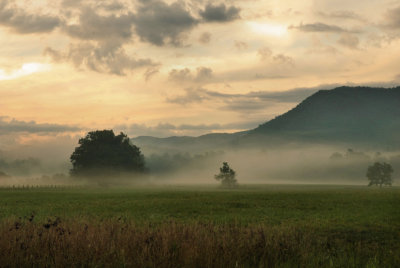Early Morning On Sparks Lane