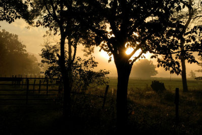 Comes The Sun