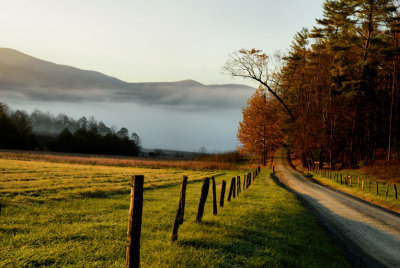 Morning On Hyatt Lane