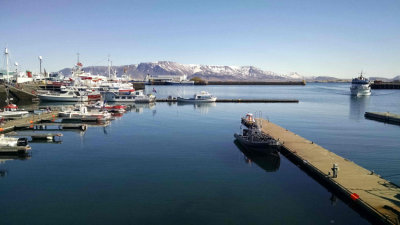Reyjkavik Harbor