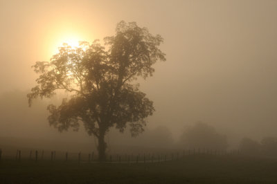  Sunrising 
