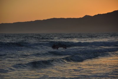 DSC_0567.jpg