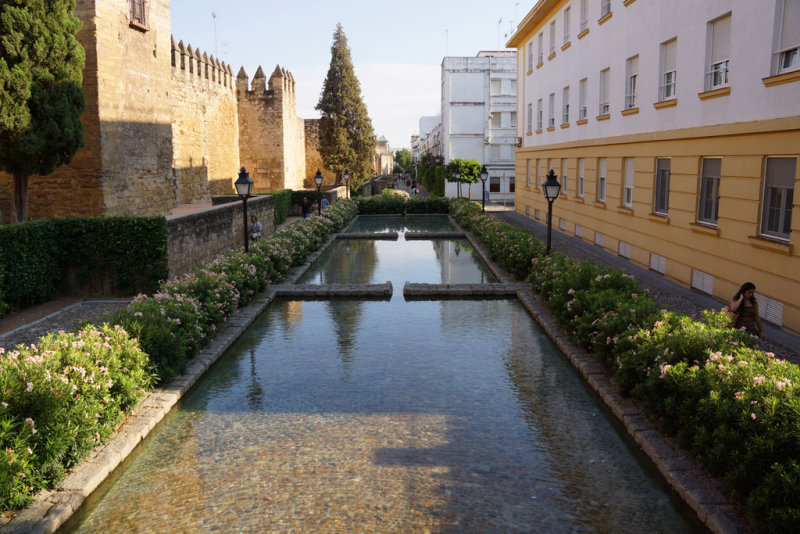 Alczar Wall