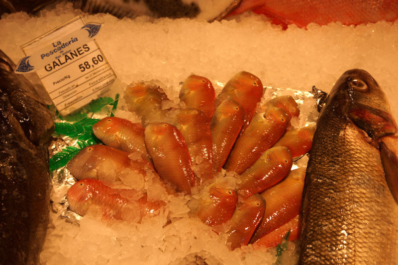 San Anton Market