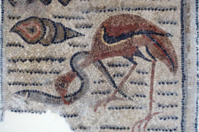 Bardo Museum