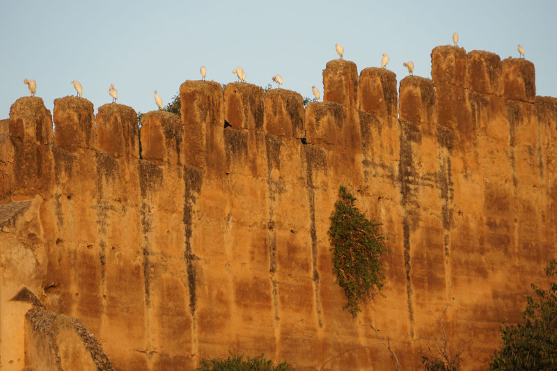 Ramparts