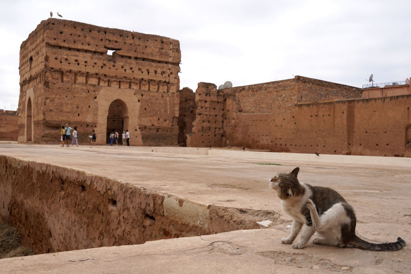 Badi Palace