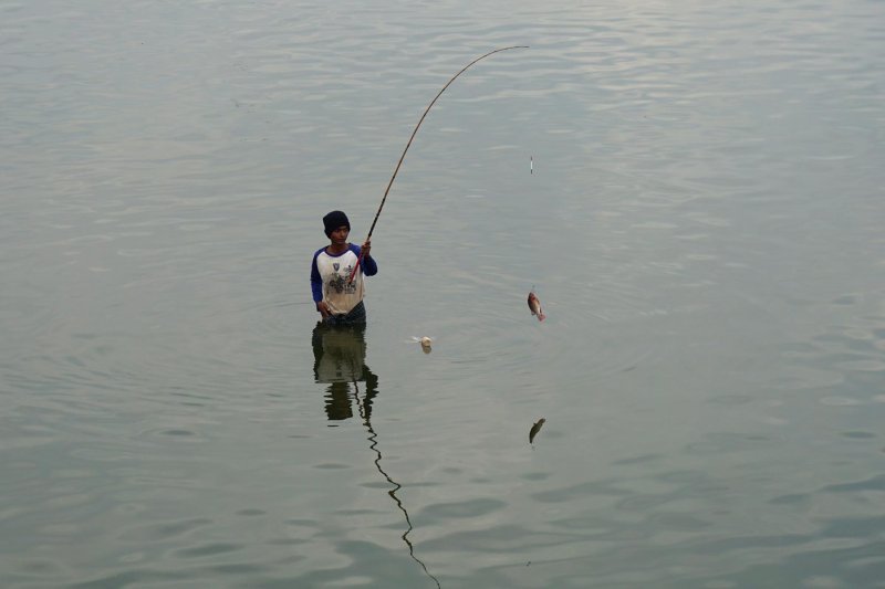 Fisherman