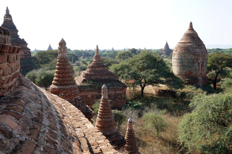 Pagoda
