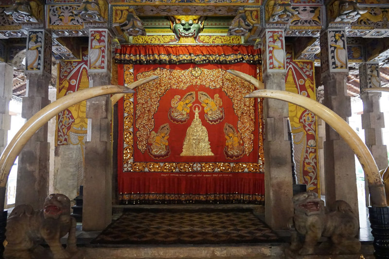 The tooth sanctuary