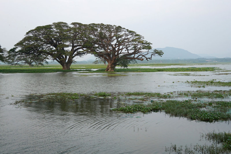 Tissa Lake