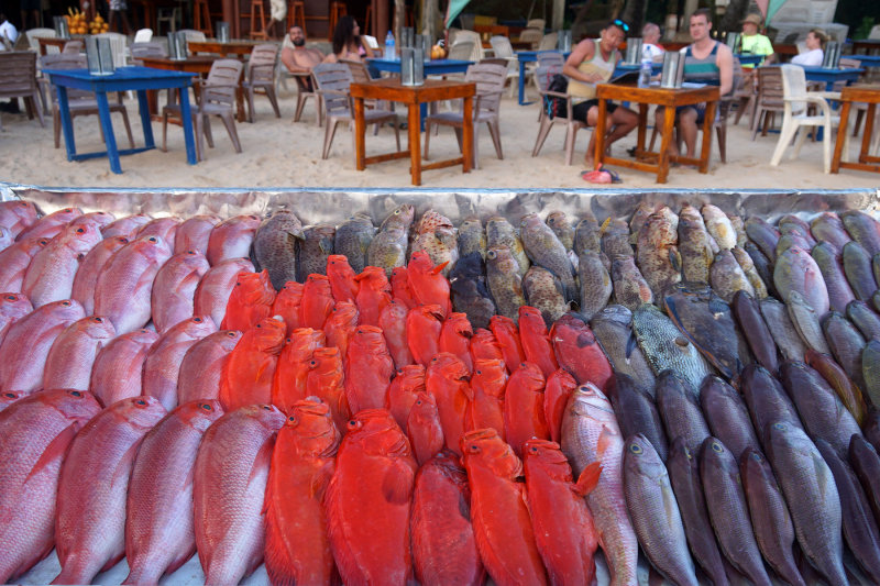 Sea food for order
