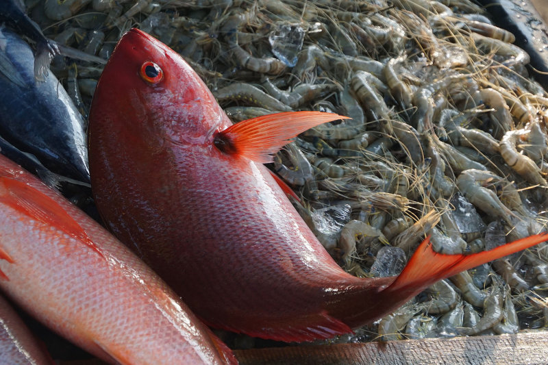 Fish market