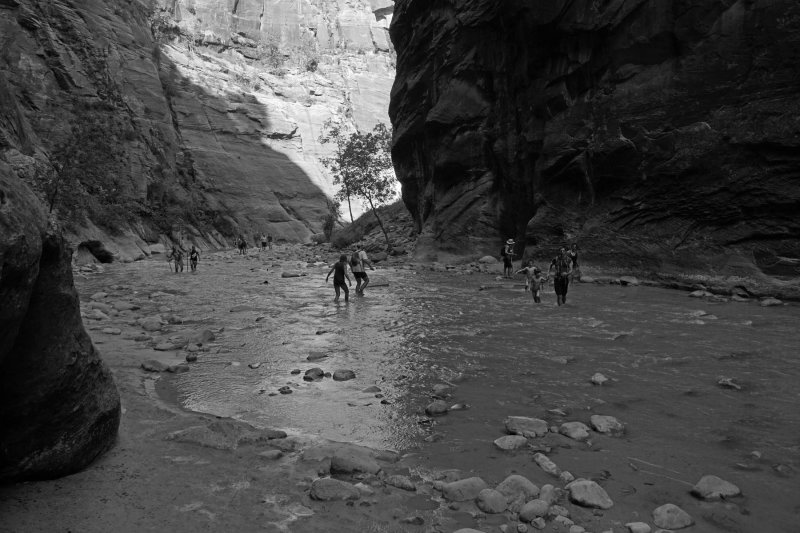 DSC05755bw.jpg