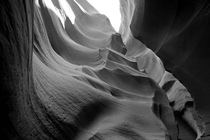 DSC05978bw.jpg