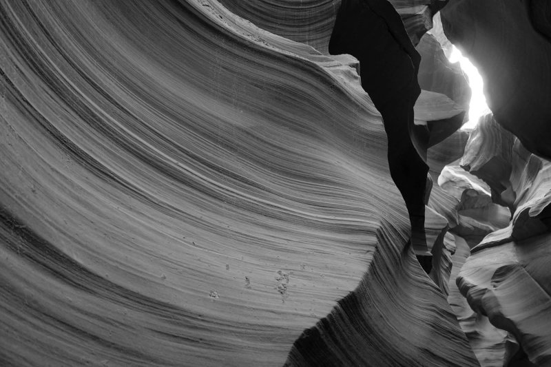 DSC06088bw.jpg