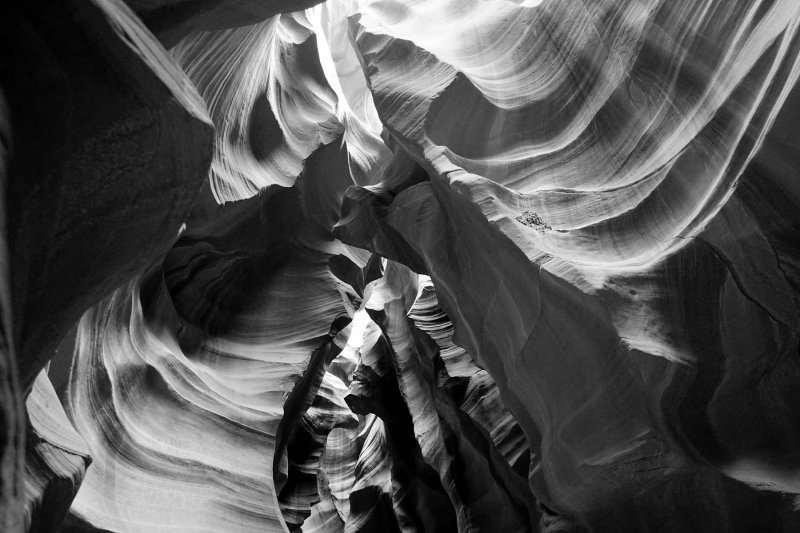 DSC06138bw.jpg