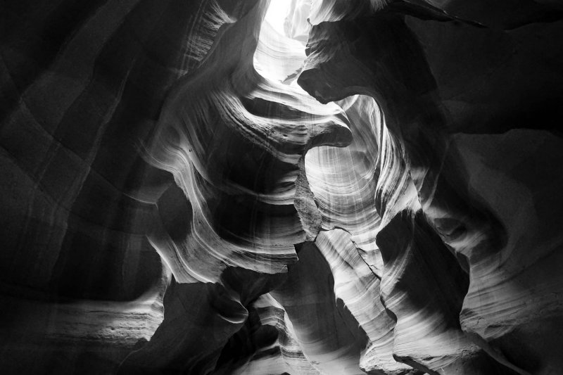 DSC06140bw.jpg