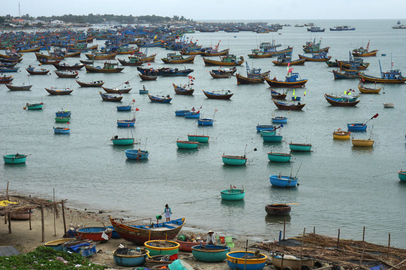 Fishing Fleet