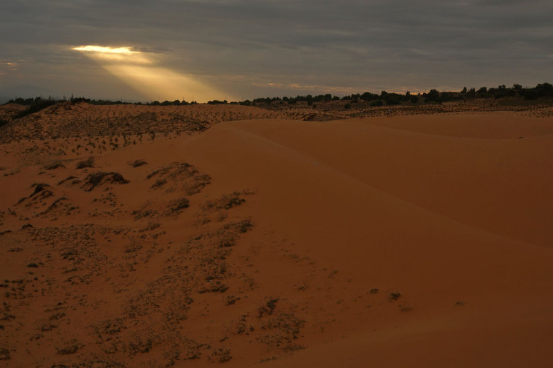 Red Sand Dunes