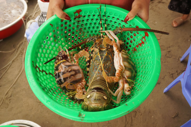 Seafood on the beach