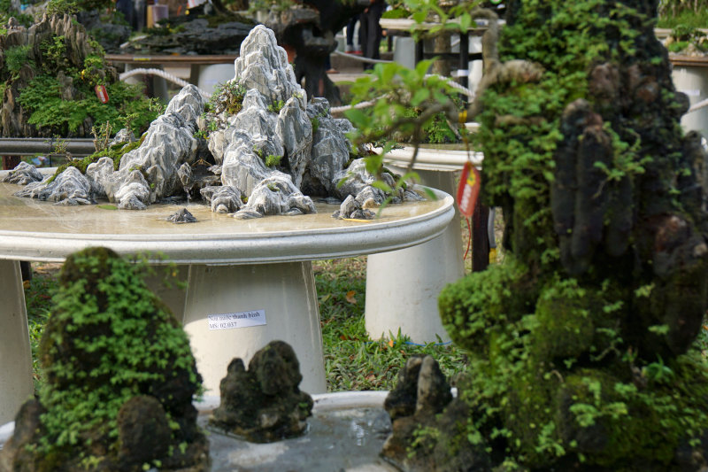 Flower Festival in Tao Dan Park