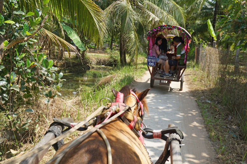 ... ride horse cart to a retaurant ...