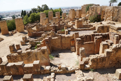 Cathage Museum