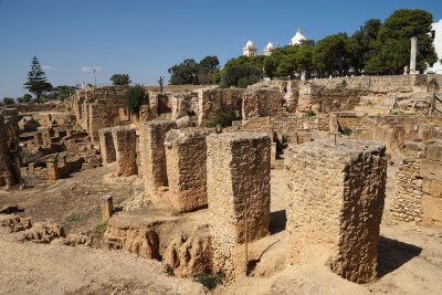 Cathage Museum