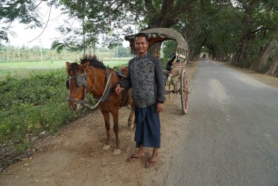 Our Horse Cart & Driver