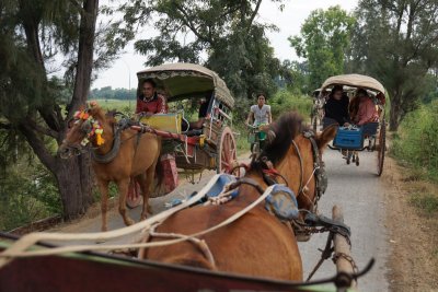  Horse Carts