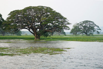 Tissa Lake