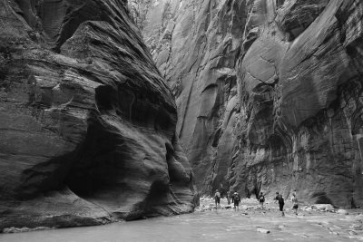 DSC05806bw.jpg