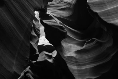 DSC05949bw.jpg