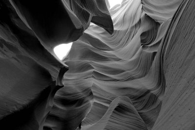 DSC05987bw.jpg