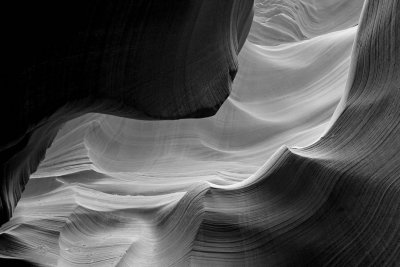 DSC06073bw.jpg