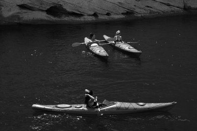DSC06436bw.jpg