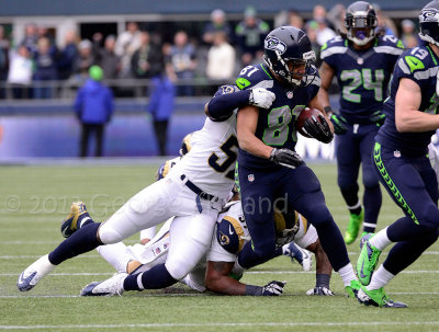 Rams_Seahawks_12229013_72pi_066.jpg