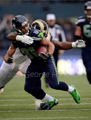 Rams_Seahawks_12229013_72pi_099.jpg