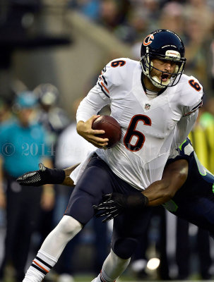 Bears_Seahawks_AUG22_72pi_091.jpg