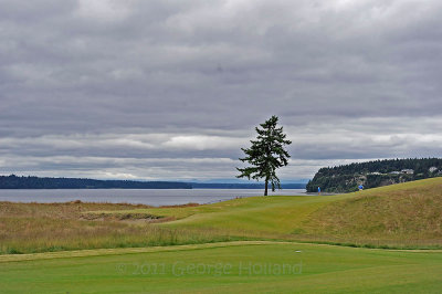 Chambers_Bay_72pi_27.jpg