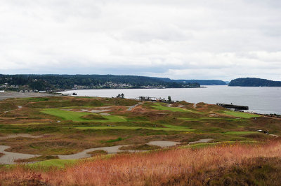 Chambers_Bay_72pi_30.jpg