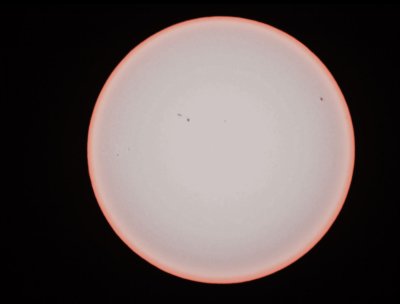 IMG_4831 CROPPED.JPG