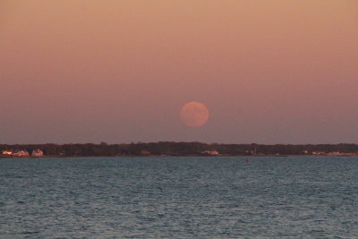 IMG_5077.JPG