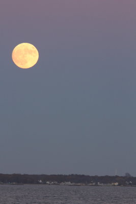 IMG_5095.JPG