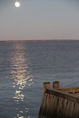 IMG_5110.JPG