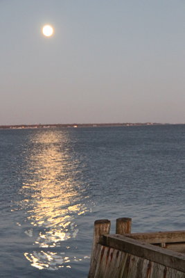 IMG_5121.JPG