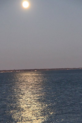 IMG_5127.JPG