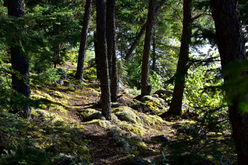 Where Fairy Tales Come From